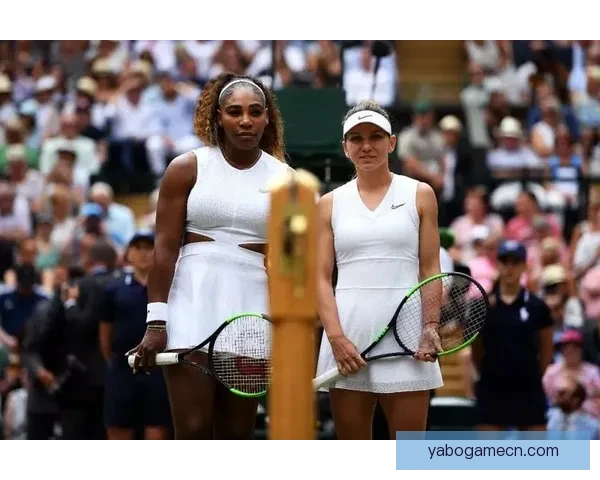 2026世界杯比赛直播平台全景解析畅享高清赛事互动观赛新体验指南